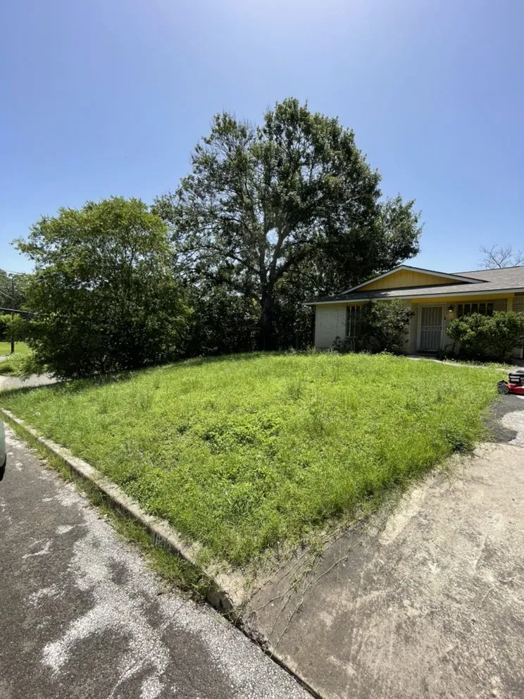 Expert landscaping services in San Antonio, TX - Losoya's Lawn and Garden