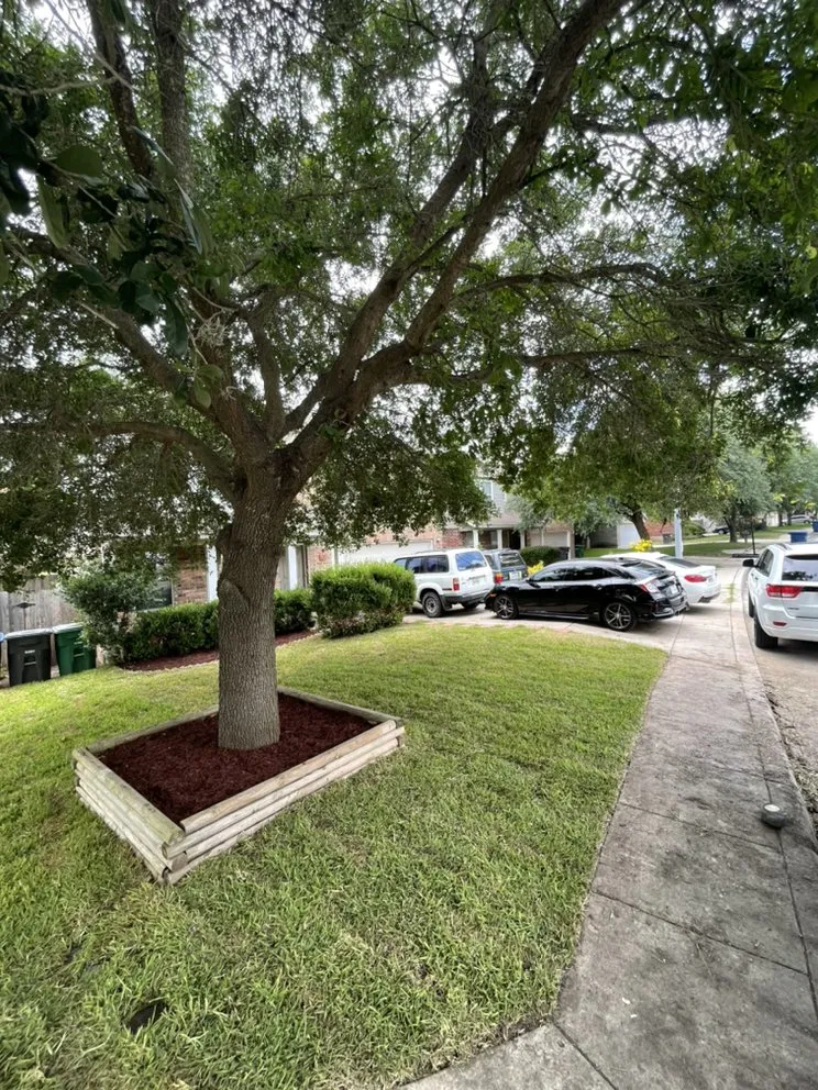 Custom residential landscaping in San Antonio, TX by Losoya's Lawn and Garden