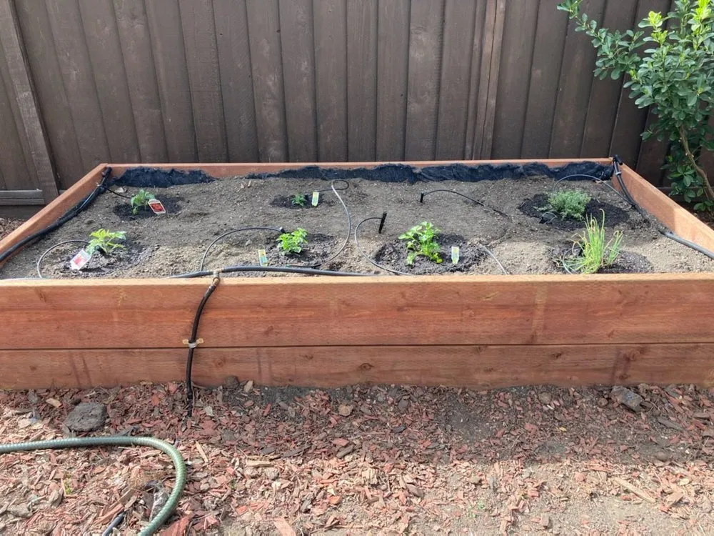 Professional garden landscaping experts serving Danville, CA - Lost Boy Genetics