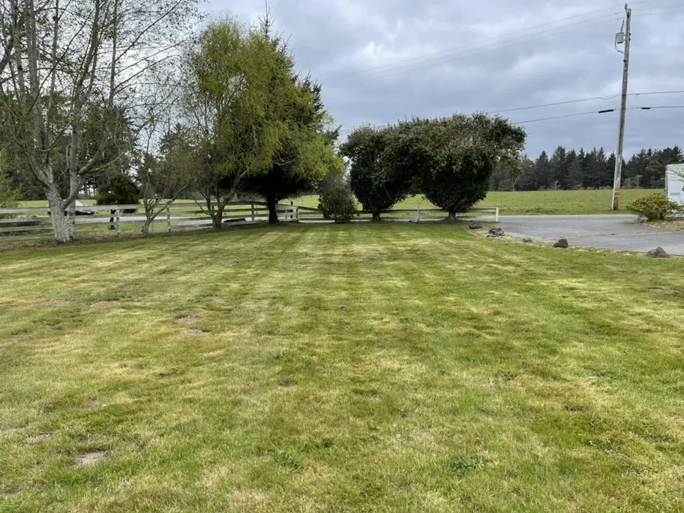 Affordable yard maintenance in McKinleyville, CA - Lost Coast lawns