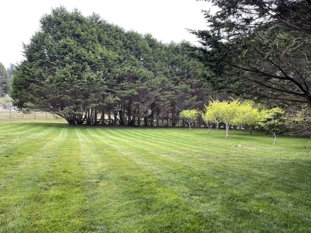 Professional landscape installation for residential properties in McKinleyville, CA by Lost Coast lawns