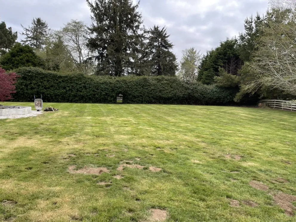 Top-rated landscaping services near you across McKinleyville, CA - Lost Coast lawns