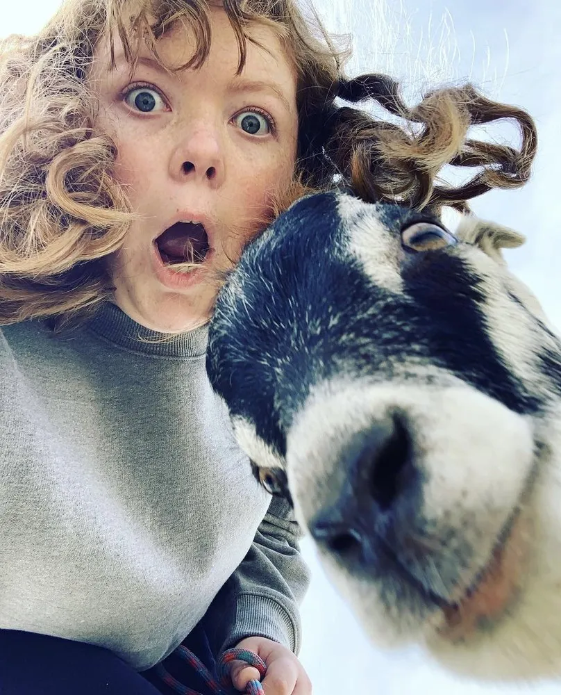 Custom yard cleanup service for outdoor upgrades across Aptos, CA - Lost Emu Farms