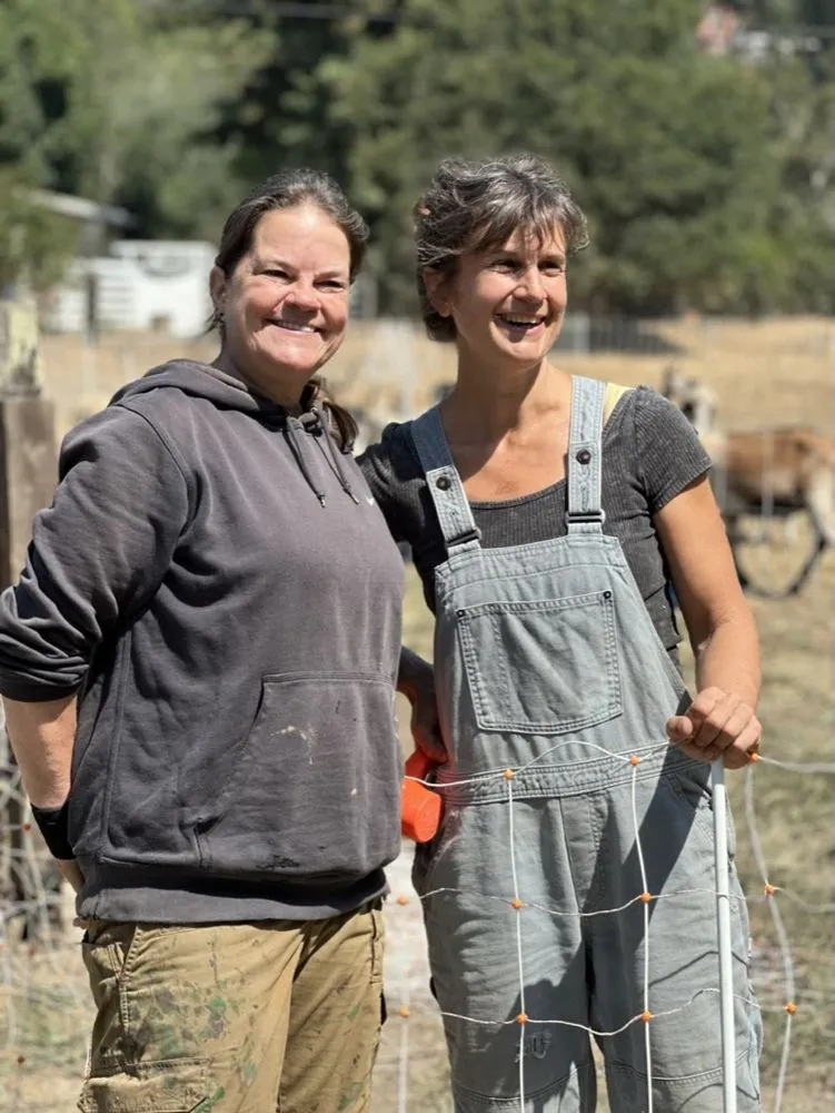 Reliable yard cleanup service experts serving Aptos, CA - Lost Emu Farms