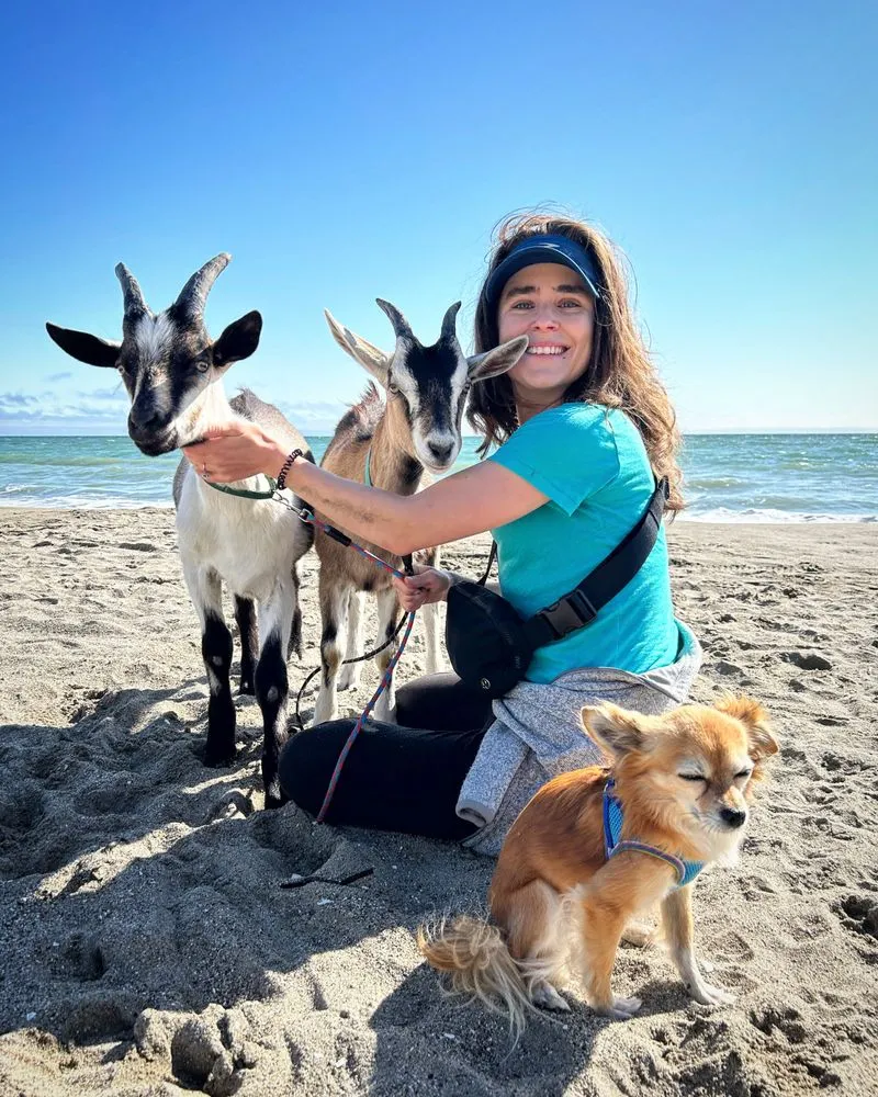 Affordable lawn mowing service for beautiful yards across Aptos, CA - Lost Emu Farms