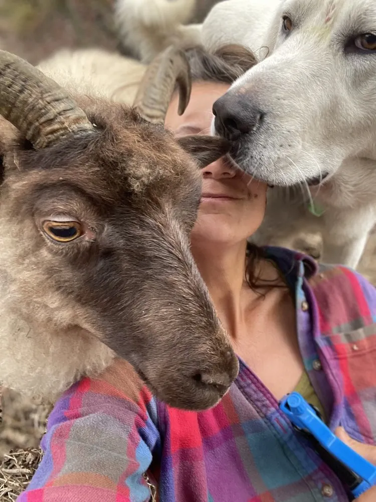 Top-rated outdoor landscaping in Aptos, CA by Lost Emu Farms