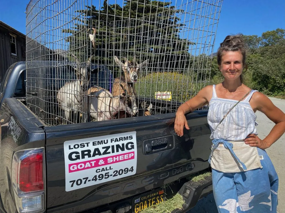 Expert landscape installation near you in Aptos, CA by Lost Emu Farms