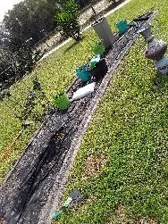 Trusted outdoor landscaping experts serving Belleview, FL - Lost N Found Things