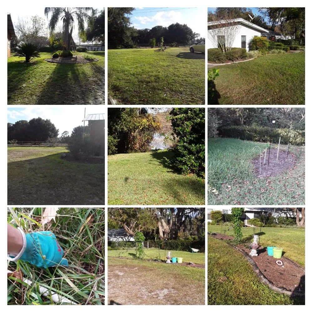Affordable lawn care service in Belleview, FL by Lost N Found Things