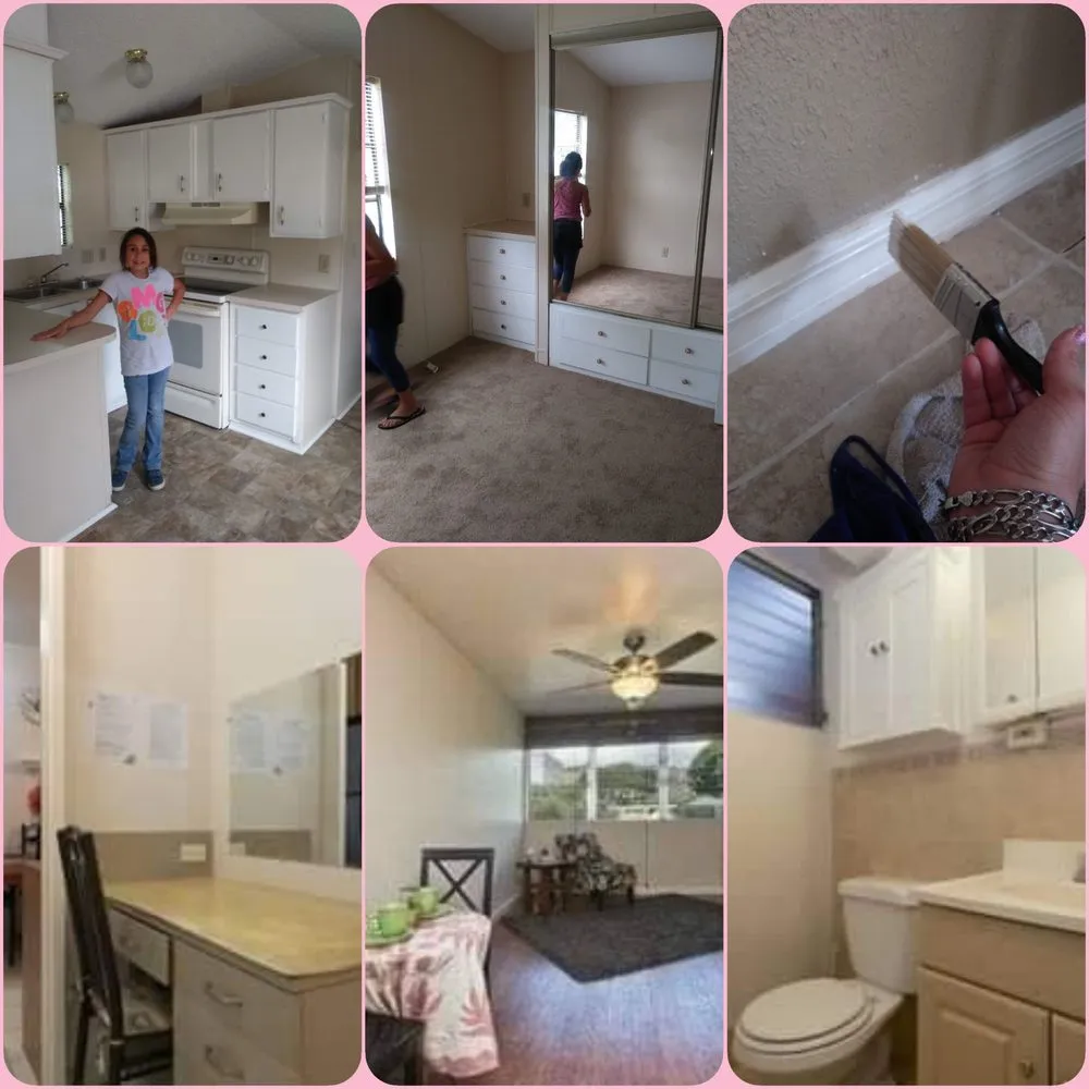 Professional yard maintenance experts serving Belleview, FL - Lost N Found Things