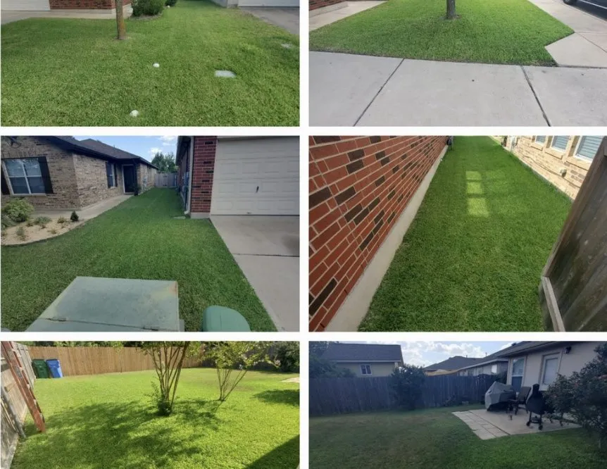 Trusted lawn care service with custom design across Austin, TX - Lost Pines Services