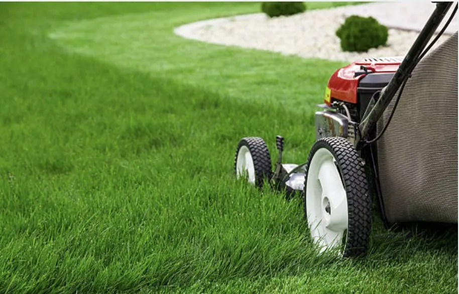 Top-rated yard maintenance in Austin, TX by Lost Pines Services