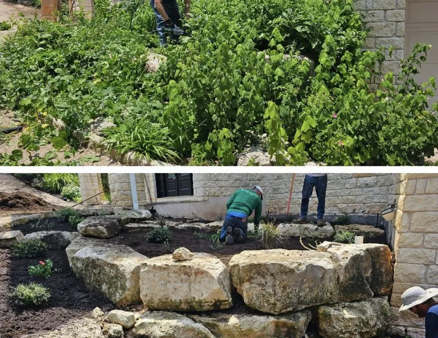 Local landscaping services experts serving Austin, TX - Lost Pines Services