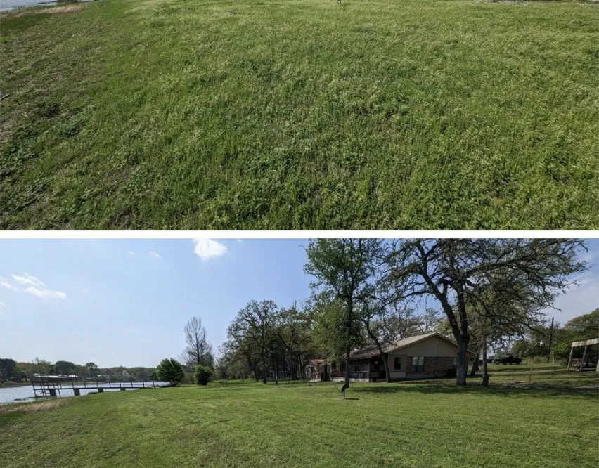 Trusted landscaping services in Austin, TX by Lost Pines Services