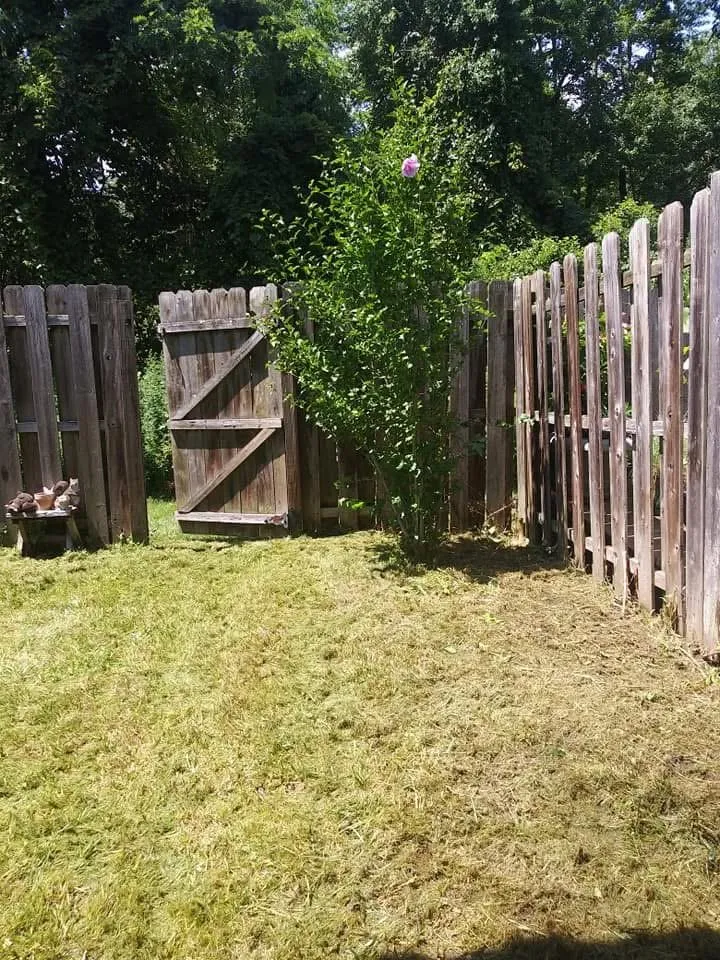 Affordable yard cleanup service in Jackson Township, NJ by Lost Woods Land Servicing