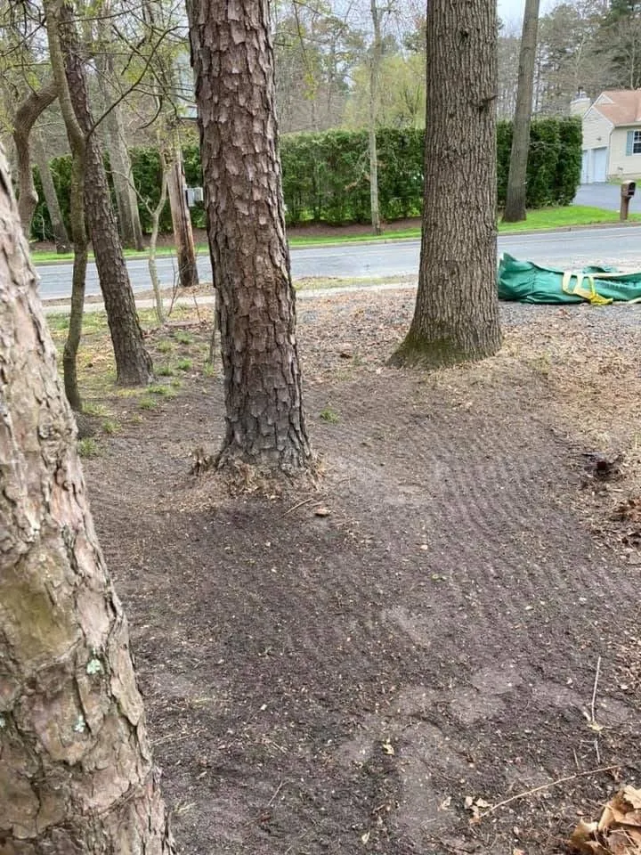 Professional lawn care service in Jackson Township, NJ - Lost Woods Land Servicing