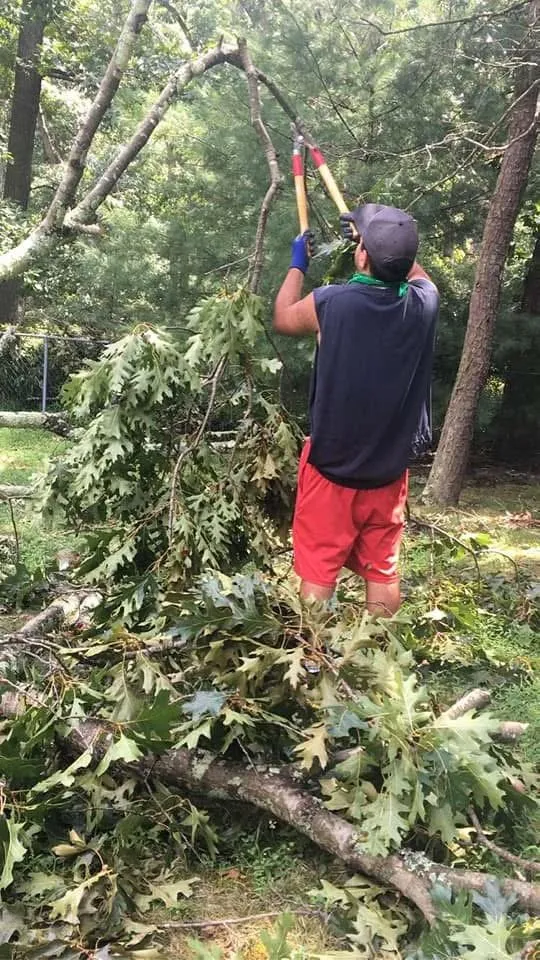 Affordable lawn mowing service in Jackson Township, NJ by Lost Woods Land Servicing