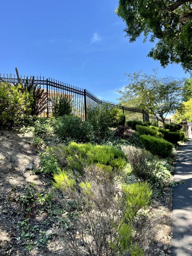 Trusted lawn mowing service in Concord, CA - Lot Fence Works