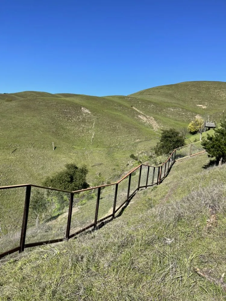 Trusted lawn mowing service for residential properties across Concord, CA - Lot Fence Works