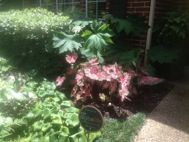 Trusted garden landscaping in Balch Springs, TX by Lothrop's Landscape