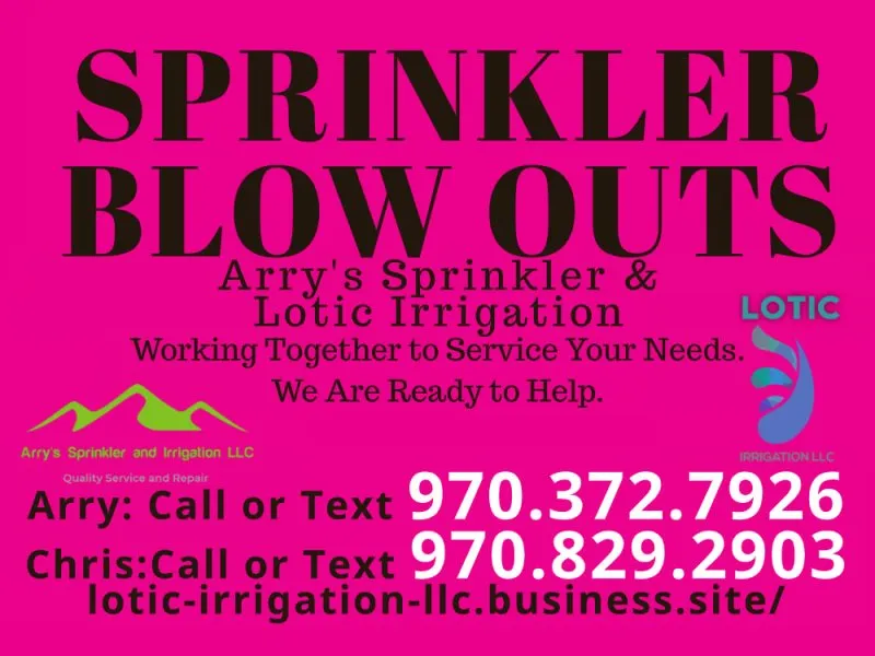 Affordable outdoor landscaping for year-round maintenance across Fort Collins, CO - Lotic Irrigation