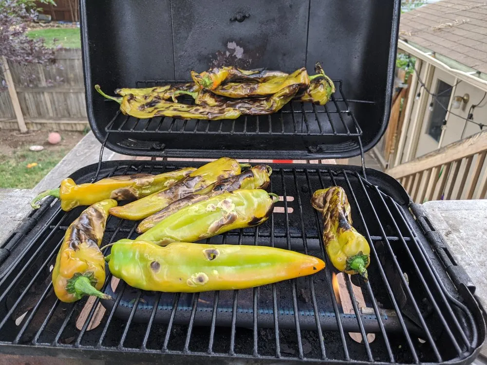 Trusted outdoor landscaping for year-round maintenance across Fort Collins, CO - Lotic Irrigation