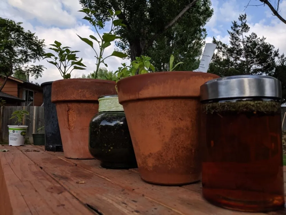 Local landscape design experts serving Fort Collins, CO - Lotic Irrigation