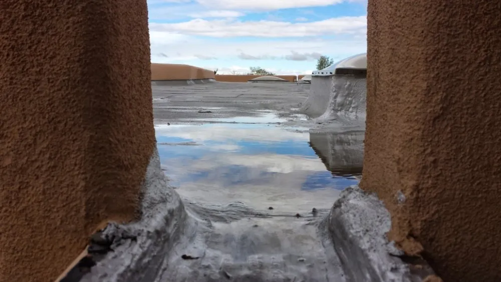 Affordable residential landscaping in Fort Collins, CO - Lotic Irrigation