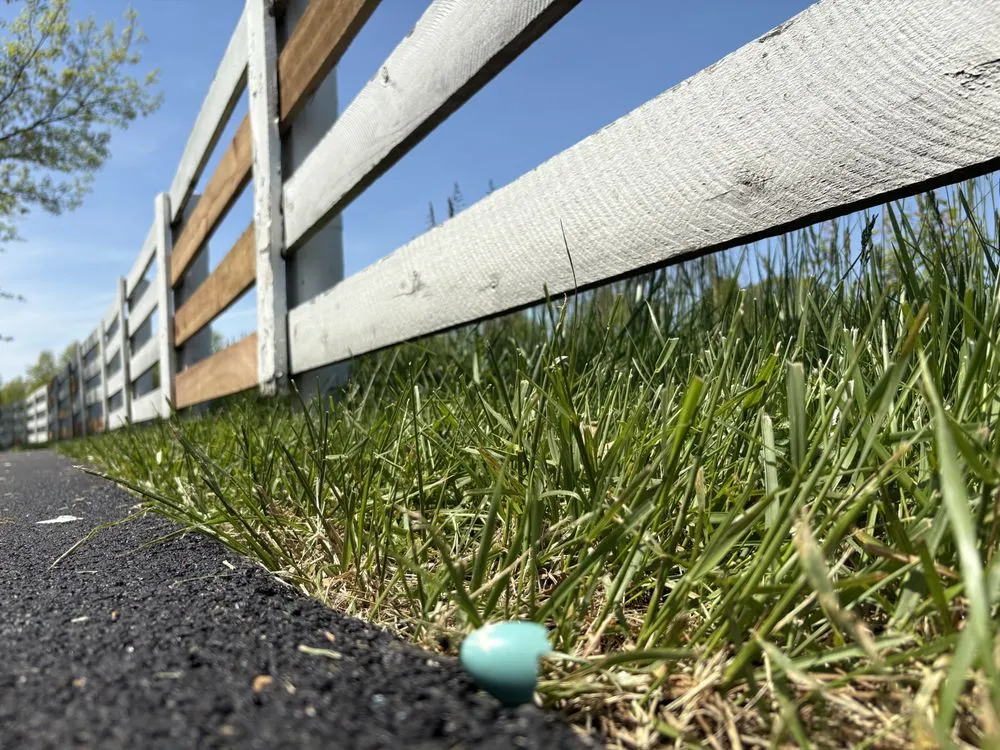 Reliable landscaping services in Galena, OH by Lotis Enterprises