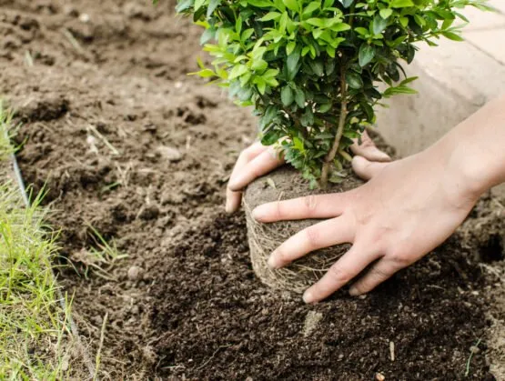 Reliable outdoor landscaping in Anchorage, AK by Lots & Lawns