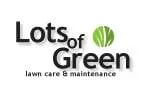 Expert yard cleanup service in Manchester, NH by Lots of Green