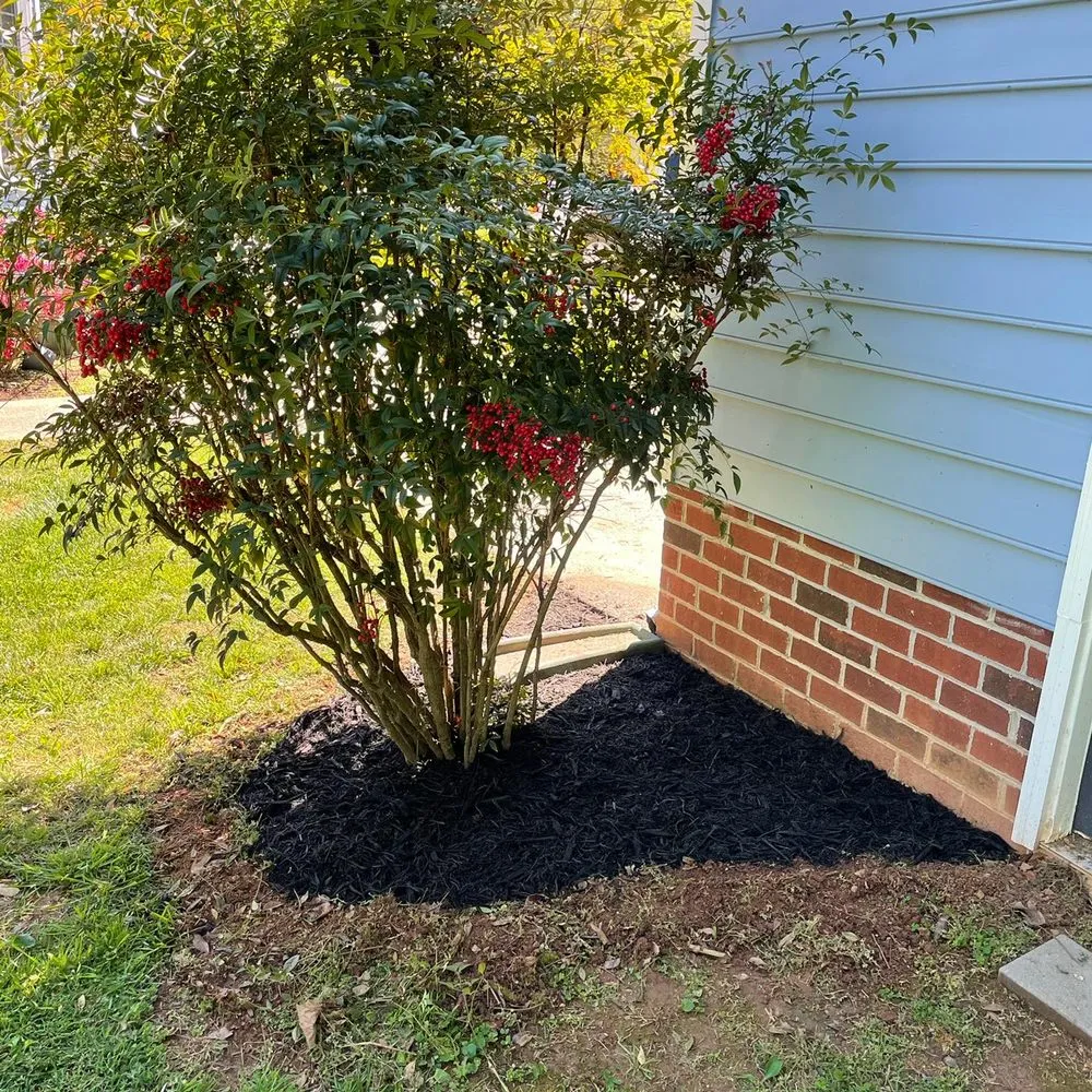 Reliable yard cleanup service for outdoor upgrades in Christiansburg, VA by Lott-man Landscaping