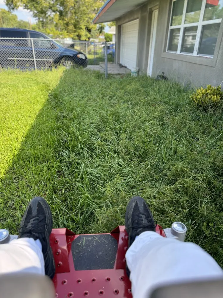 Reliable yard cleanup service with custom design across Daytona Beach, FL - Lotta Landscaping & Tree Service