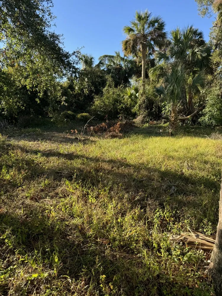 Top-rated landscape design for outdoor upgrades in Daytona Beach, FL by Lotta Landscaping & Tree Service