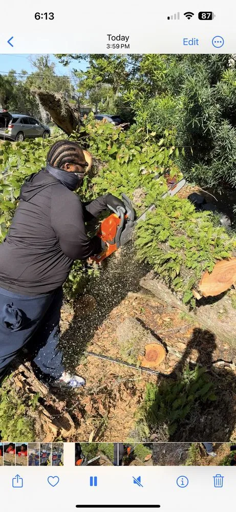 Top-rated lawn mowing service for beautiful yards in Daytona Beach, FL by Lotta Landscaping & Tree Service