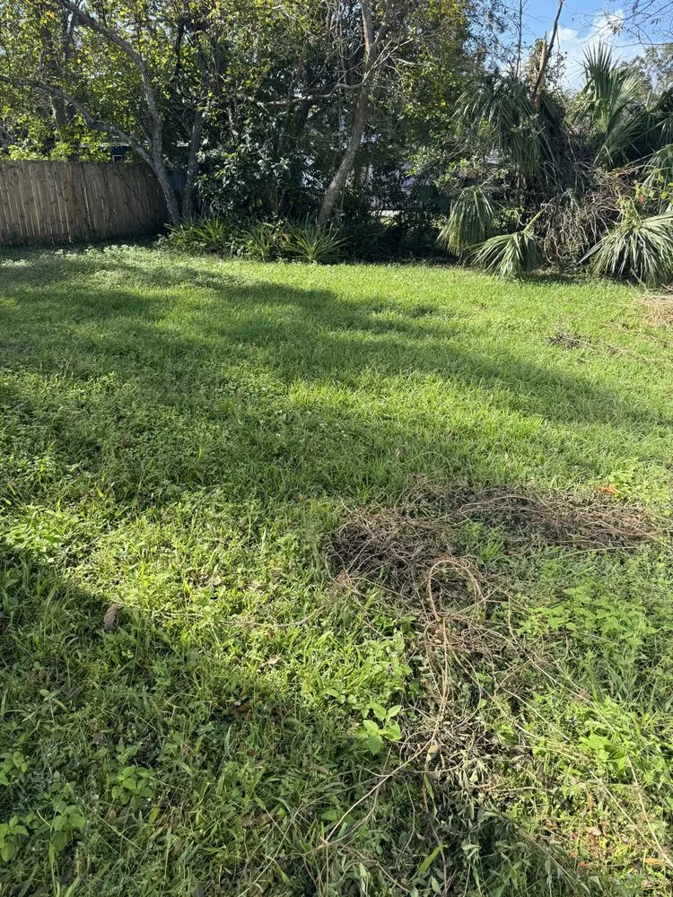 Trusted outdoor landscaping in Daytona Beach, FL - Lotta Landscaping & Tree Service