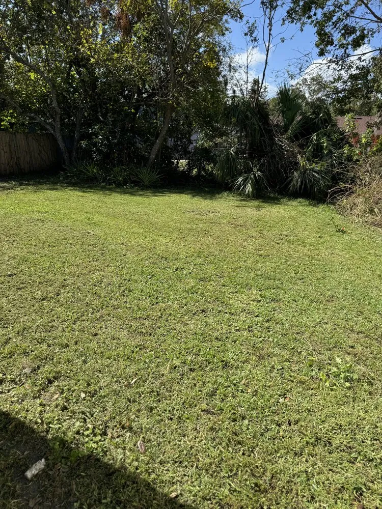 Professional residential landscaping in Daytona Beach, FL by Lotta Landscaping & Tree Service