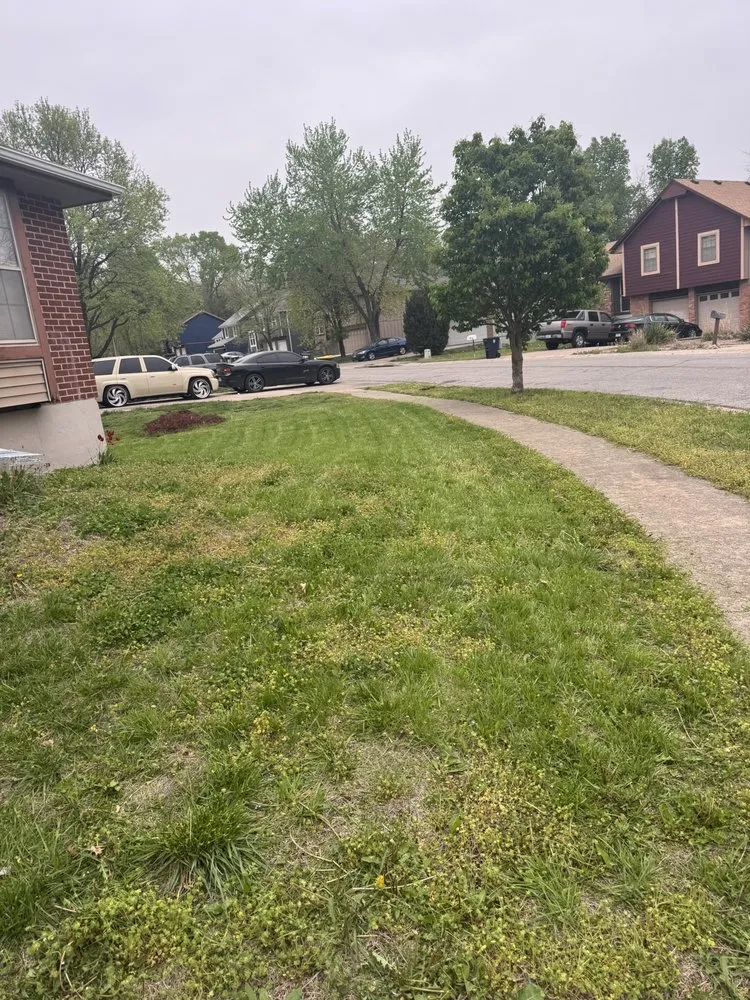 Expert outdoor landscaping experts serving Kansas City, MO - Lottas Lawn Service