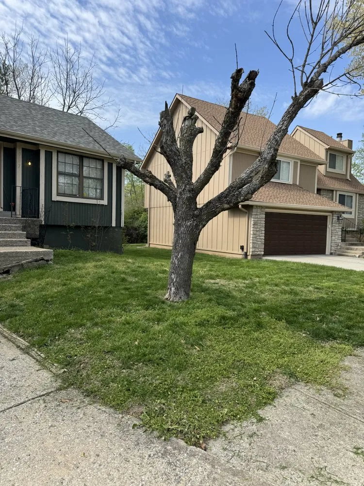 Trusted lawn care service for residential properties across Kansas City, MO - Lottas Lawn Service
