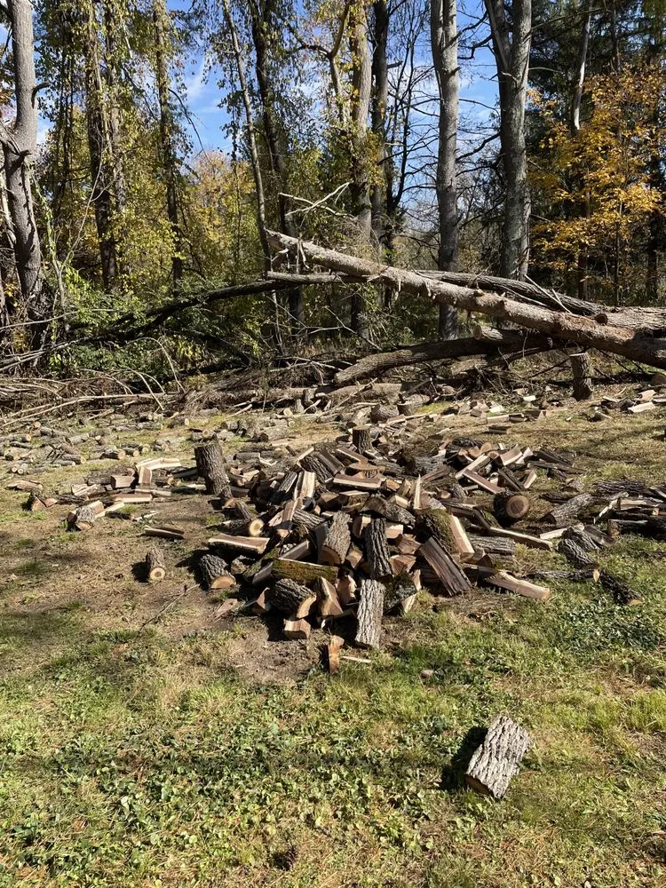 Top-rated lawn mowing service experts serving New Lebanon, NY - Lottey’s Lawn Care