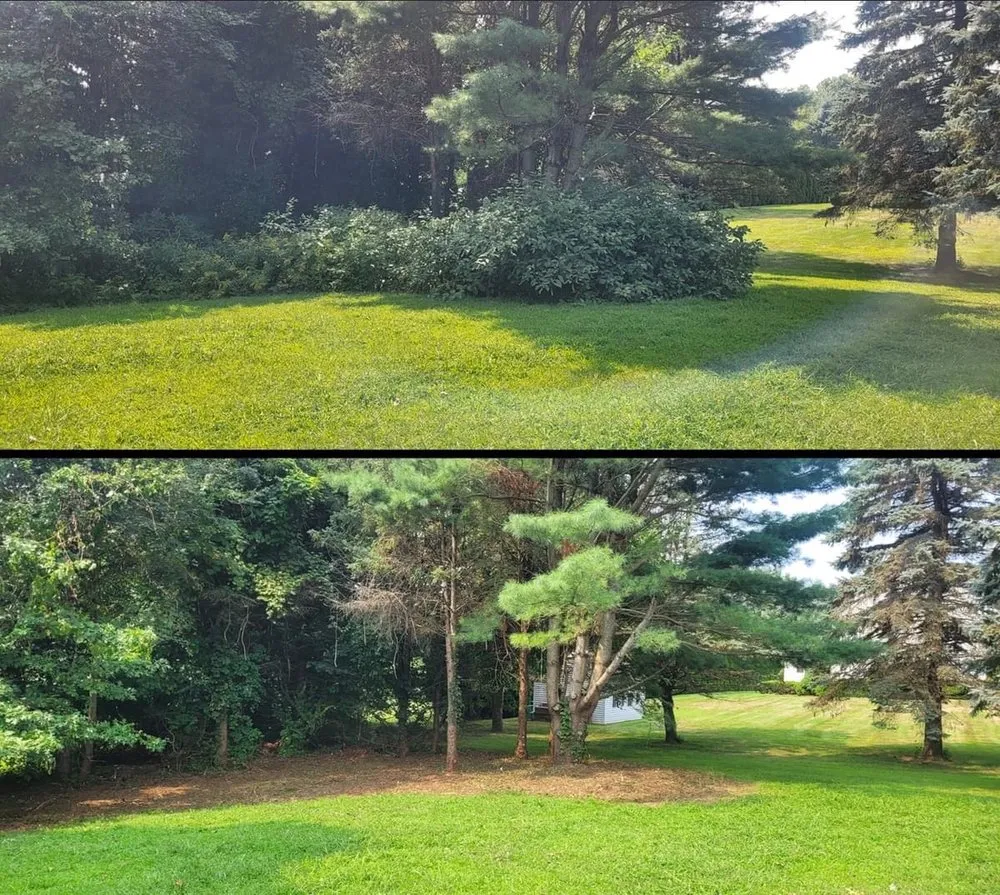 Affordable yard maintenance experts serving New Lebanon, NY - Lottey’s Lawn Care
