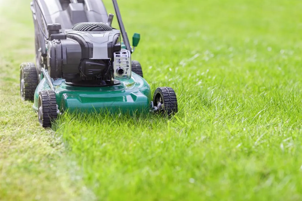 Professional lawn care service for outdoor upgrades across Helena, AL - Lotto Lawn Care Service