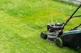 Professional yard cleanup service in Helena, AL by Lotto Lawn Care Service