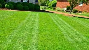 Local yard cleanup service for outdoor upgrades in Helena, AL by Lotto Lawn Care Service