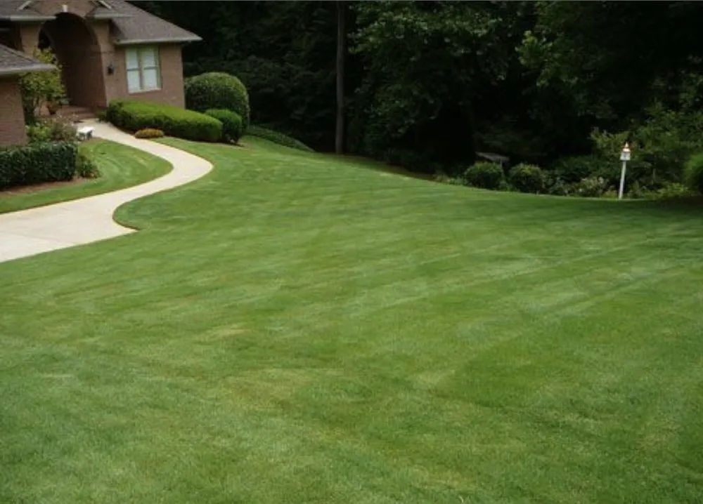 Affordable yard cleanup service for year-round maintenance across Sumrall, MS - Lott’s Lawn Care