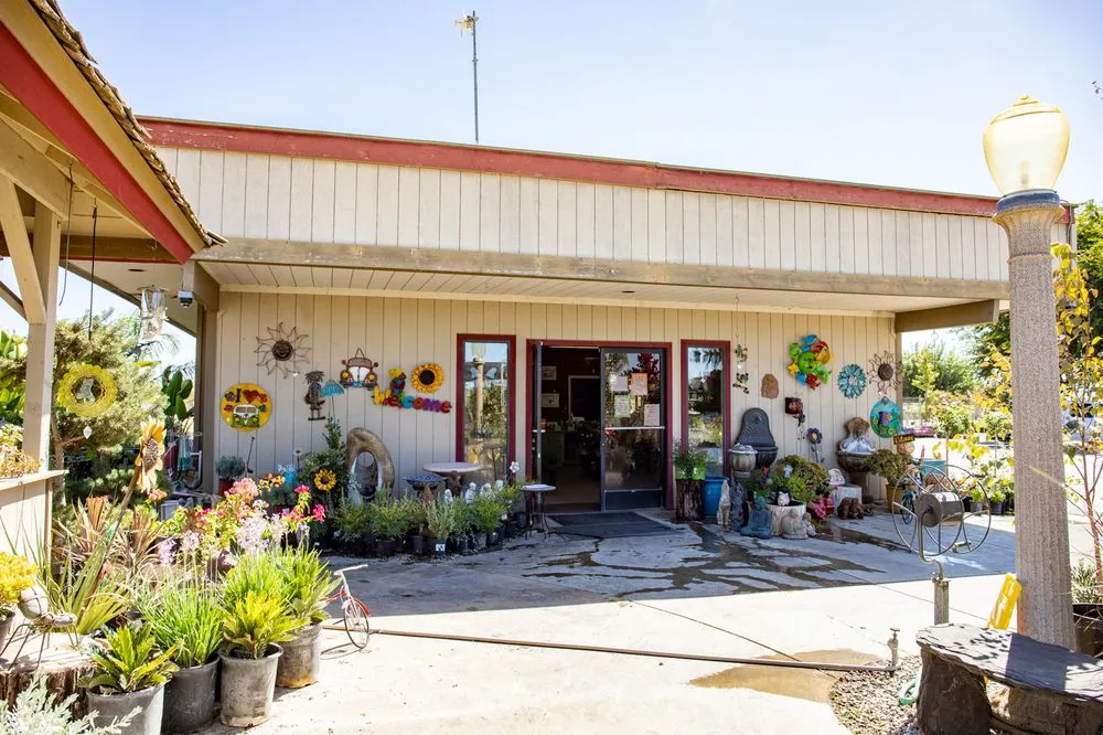 Trusted yard maintenance for residential properties across Fresno, CA - Lotus Gardens Outdoor Living Center