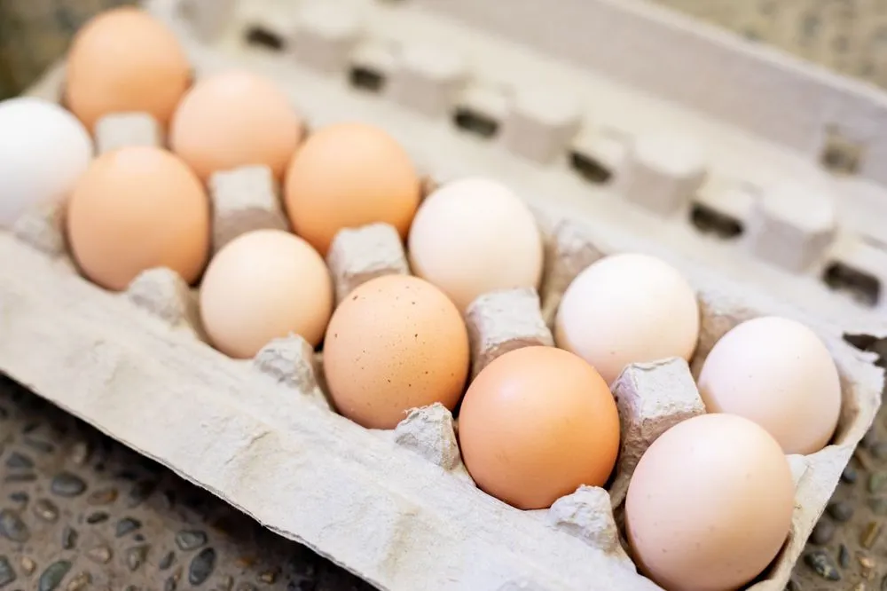 Top-rated garden landscaping in Fresno, CA by Lotus Gardens Outdoor Living Center