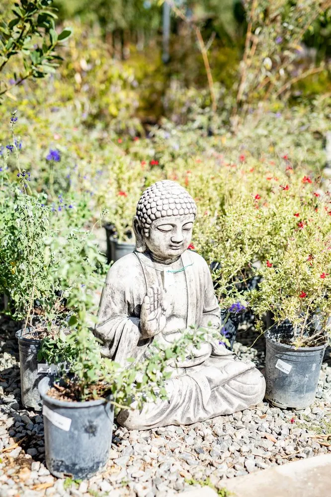 Trusted landscaping services in Fresno, CA - Lotus Gardens Outdoor Living Center