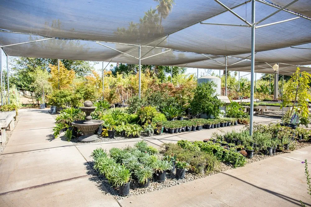 Affordable lawn mowing service experts serving Fresno, CA - Lotus Gardens Outdoor Living Center