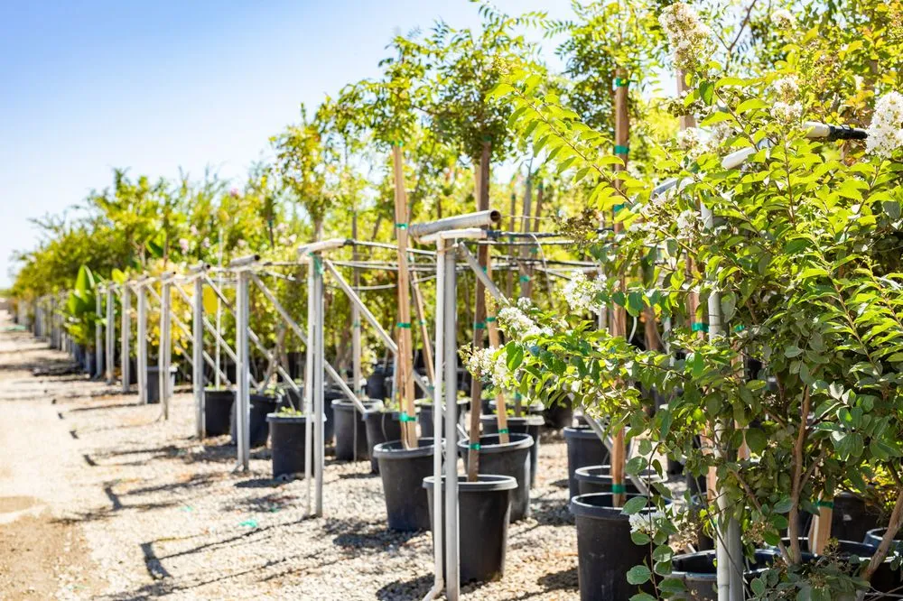 Top-rated landscaping services for residential properties across Fresno, CA - Lotus Gardens Outdoor Living Center